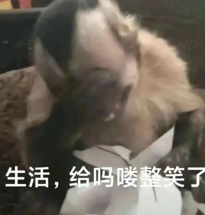 生活，给吗喽整笑了
