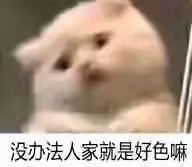 好色猫咪