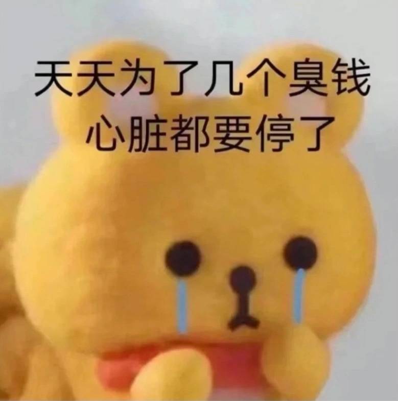 心疼钱包的熊熊