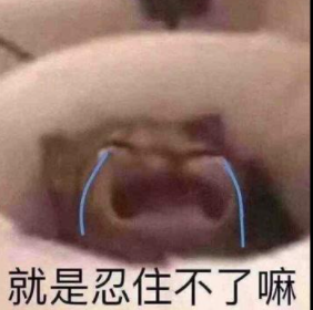 忍不住笑出声