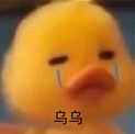 哭泣的小黄鸭