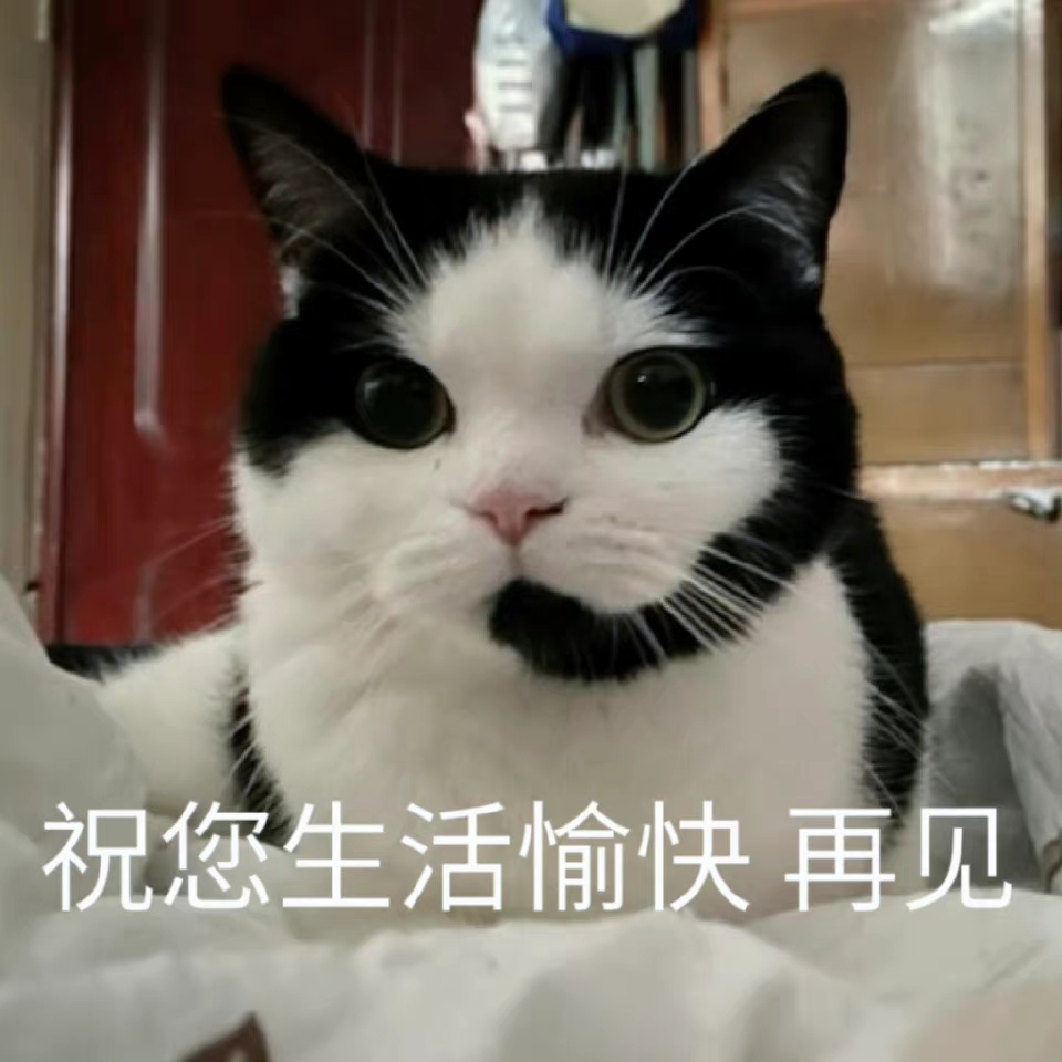 猫咪的再见