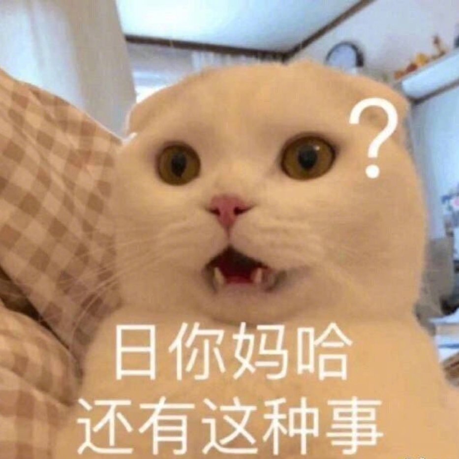 震惊猫咪