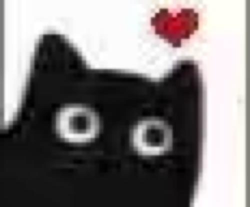 黑猫爱心