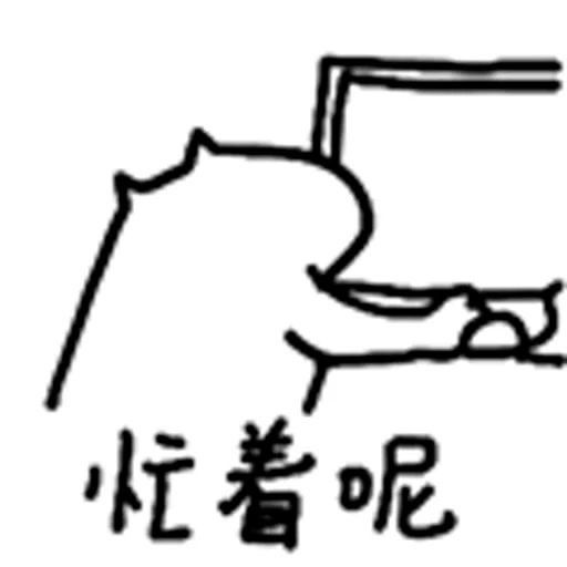 忙碌的猫