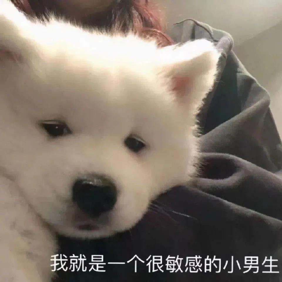 我是一个很敏感的小男生