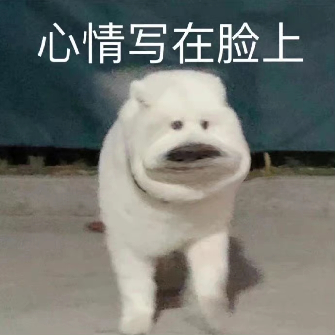 心情写在脸上的狗狗