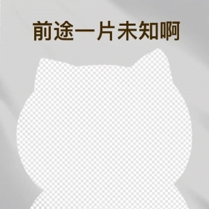前途一片未知的猫咪