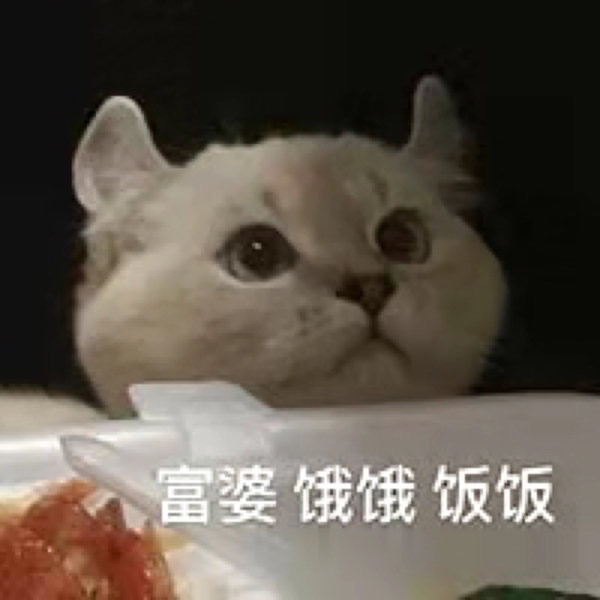 猫咪饿饿饭饭