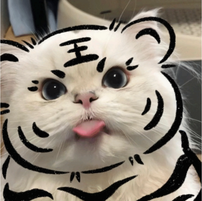 猫咪老虎妆
