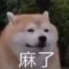 狗狗麻了
