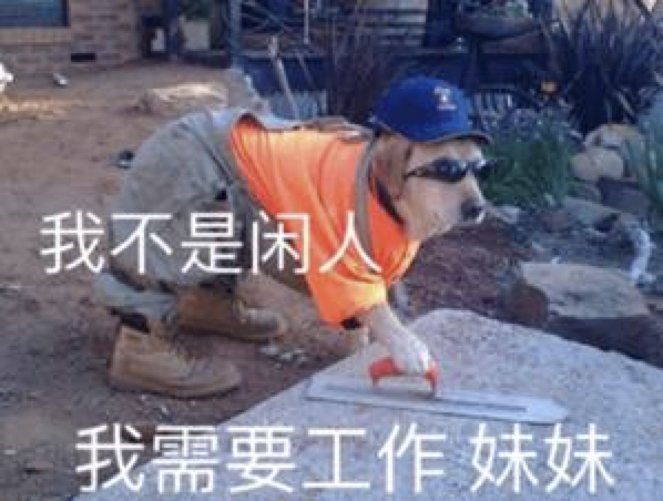 狗狗工作表情包
