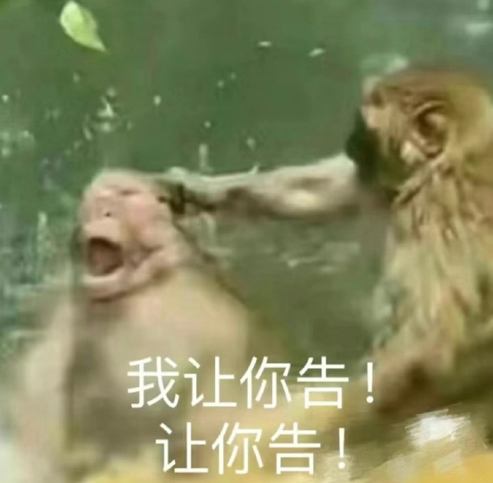 我让你告！让你告！
