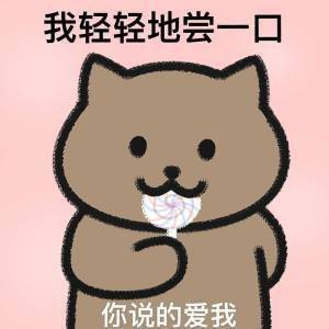 猫咪尝爱表情包