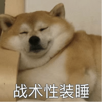 战术性装睡的狗狗
