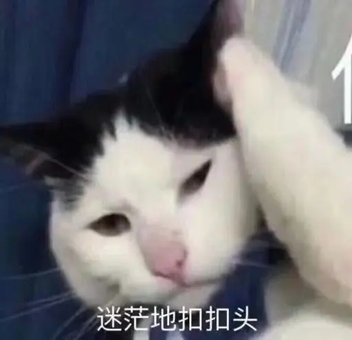 迷茫的猫咪