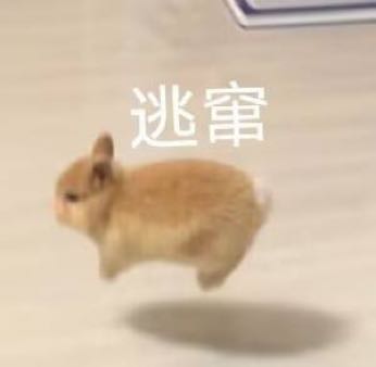 仓鼠逃窜
