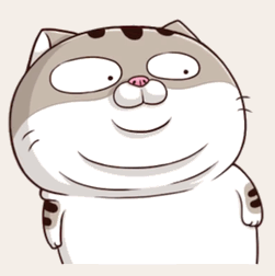 憨态可掬的猫咪