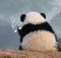功夫熊猫喷水