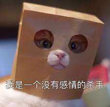 无情杀手猫