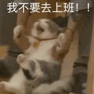 我不要去上班