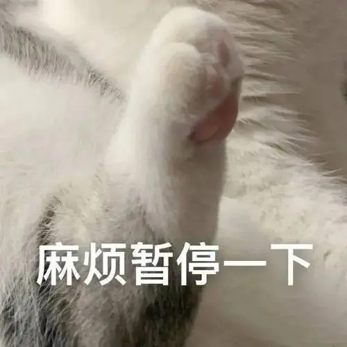 猫爪暂停