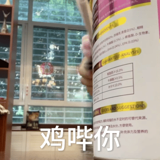 鸡哔你