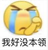 哭泣的emoji表情包