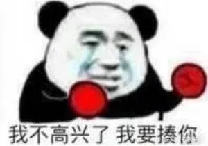 熊猫头不高兴要揍你
