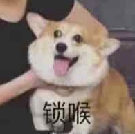 锁喉狗狗