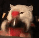尴尬的猫咪
