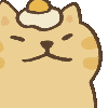 头顶煎蛋的猫咪