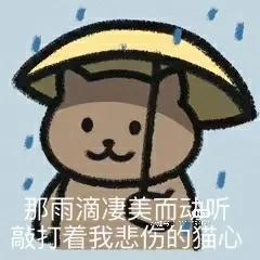 雨中猫咪