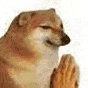 祈祷的狗狗