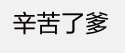 辛苦了爹