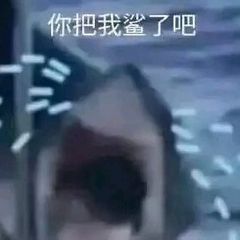 震惊的鲨鱼