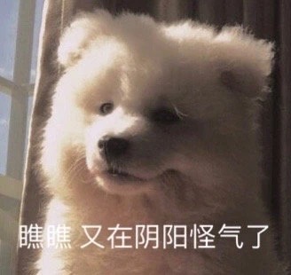 阴阳怪气的狗狗