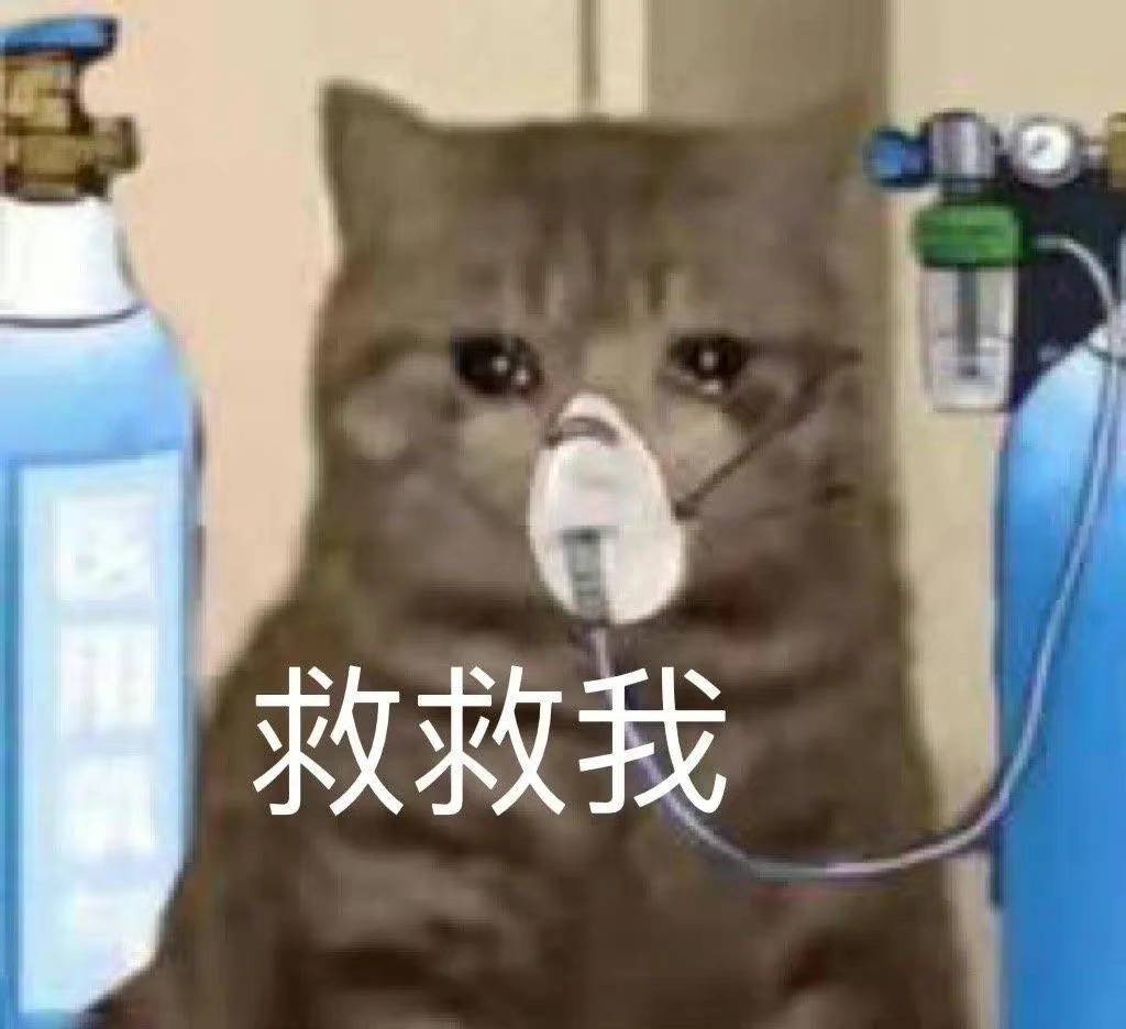 救救我，猫咪生病了