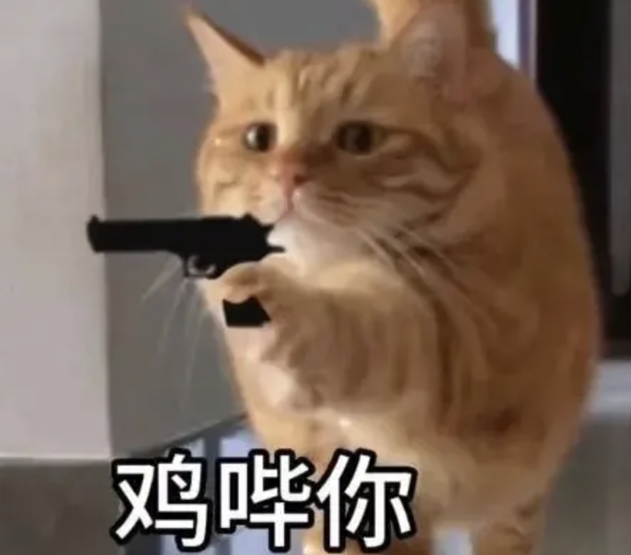 猫咪拿枪威胁