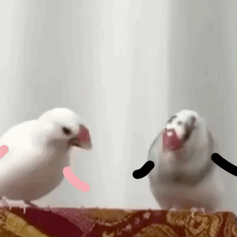 两只鸟的对话
