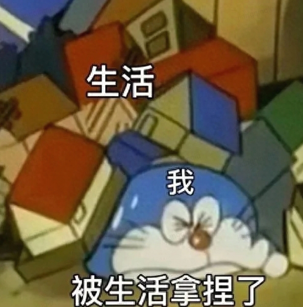 被生活拿捏的我