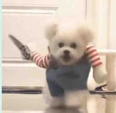狗狗拿刀表情包