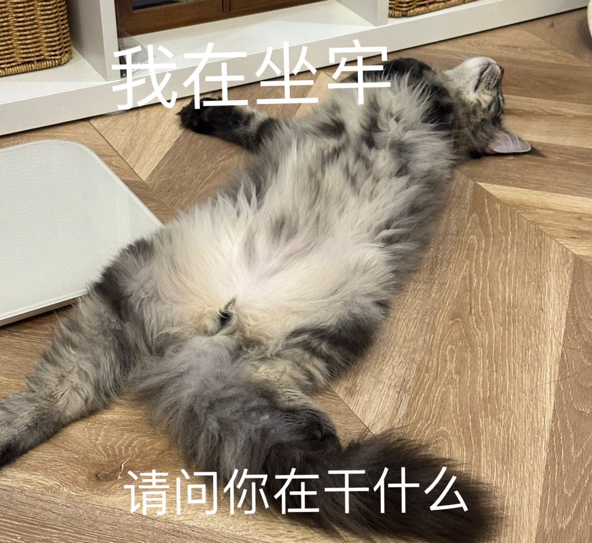 我在坐车，请问你在干什么