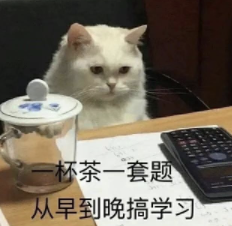 猫咪学习表情包