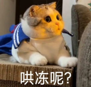 震惊的猫咪