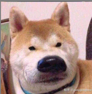 柴犬生无可恋脸