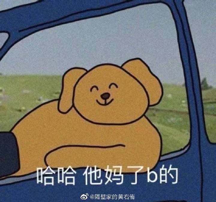 狗狗的快乐时光