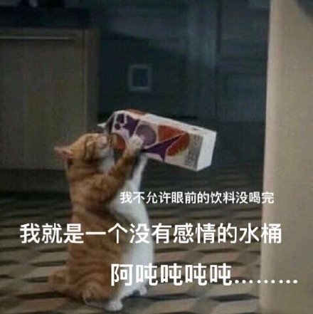 无情的水桶