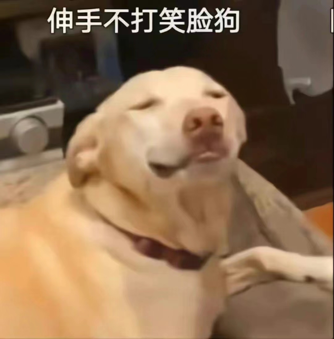 伸手不打笑脸狗