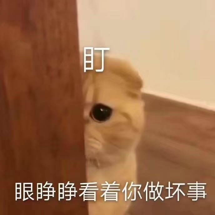 暗中观察